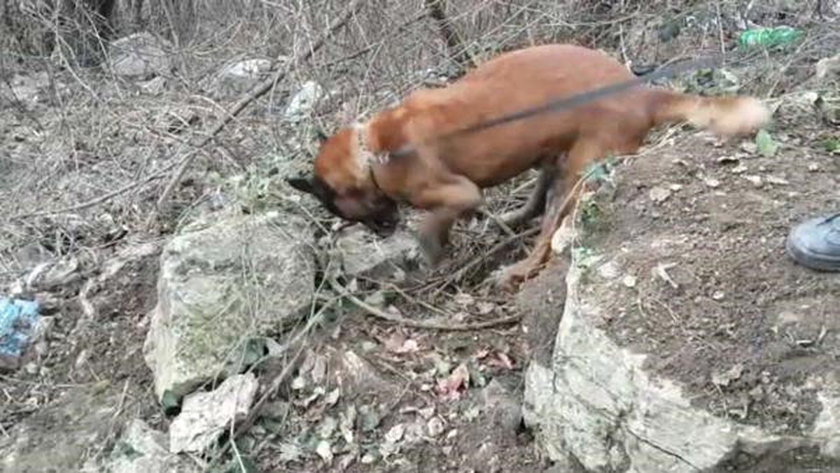 Varillerle Toprağa Gömülü 99 Kilo 600 Gram Esrar Bulundu