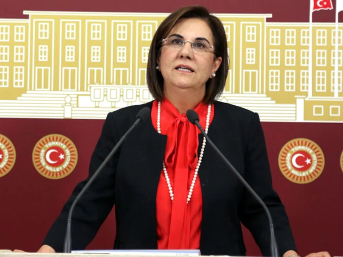 CHP Eskişehir Milletvekili Usluer Açıklaması