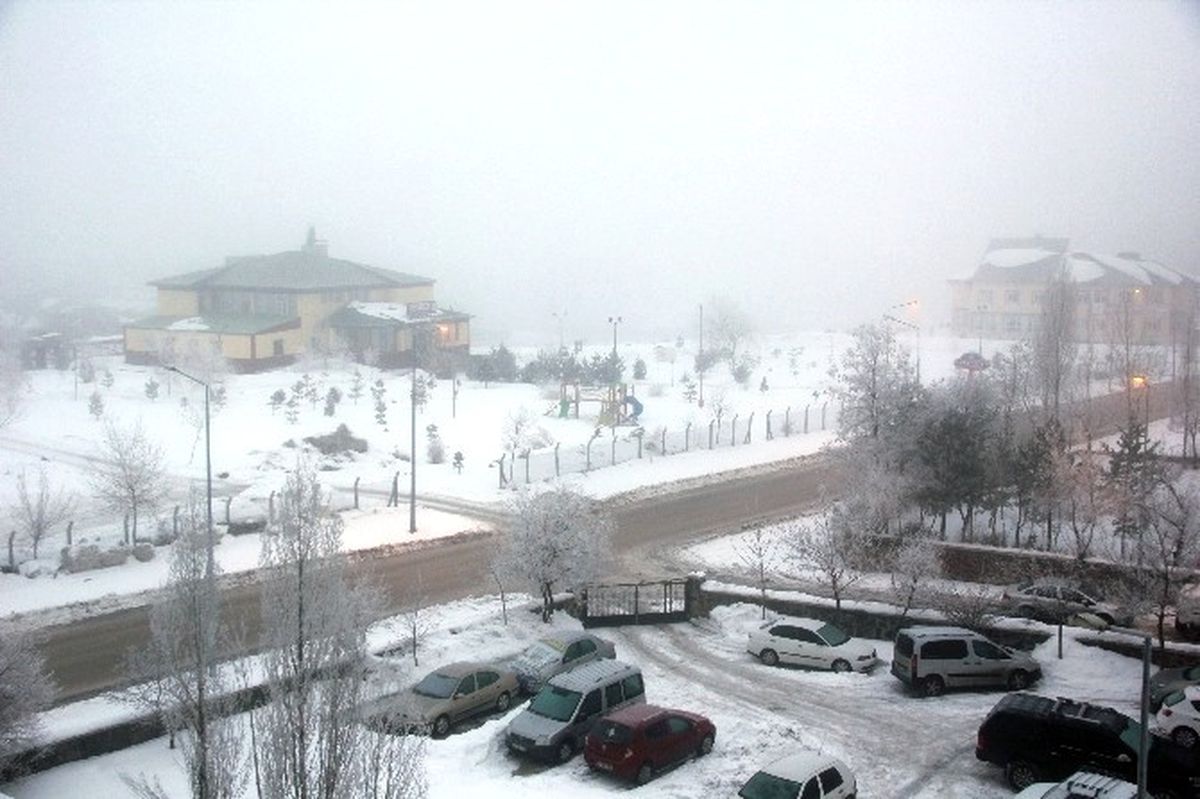 Erzurum\'da Yoğun Sis Uçak Seferlerini Aksattı