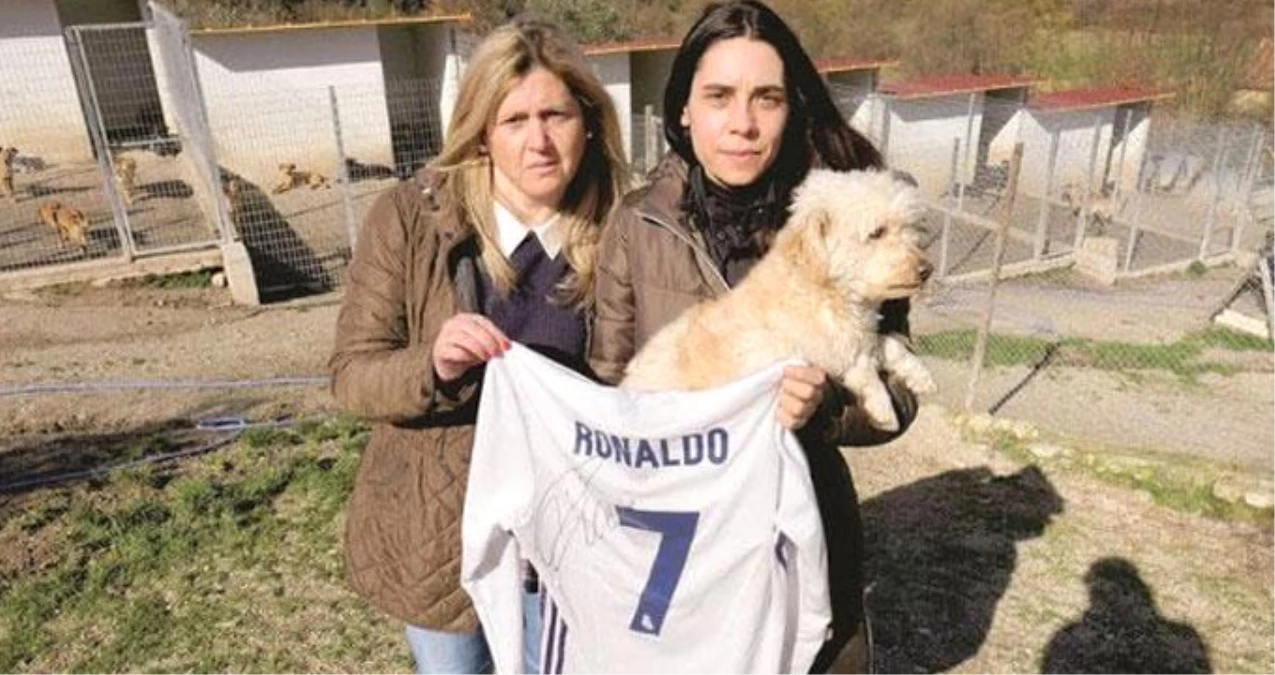 Ronaldo, Barınak Hayvanlarına Yardım İçin İmzalı Formasını Bağışladı
