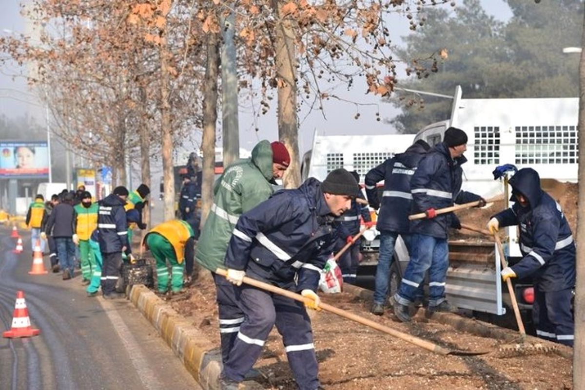 Yeşil Alanlarda 129 Bin Lale ve 80 Bin Menekşe Açacak