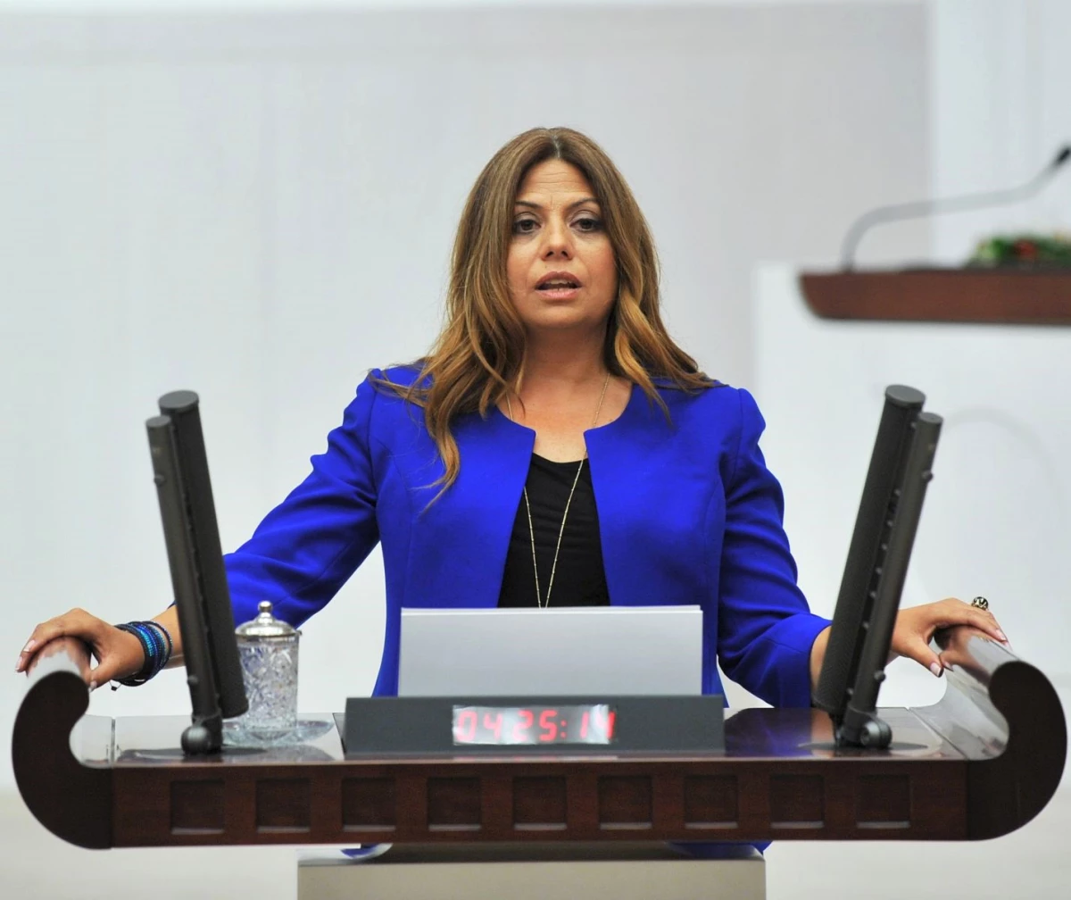 CHP İzmir Milletvekili Altıok Açıklaması