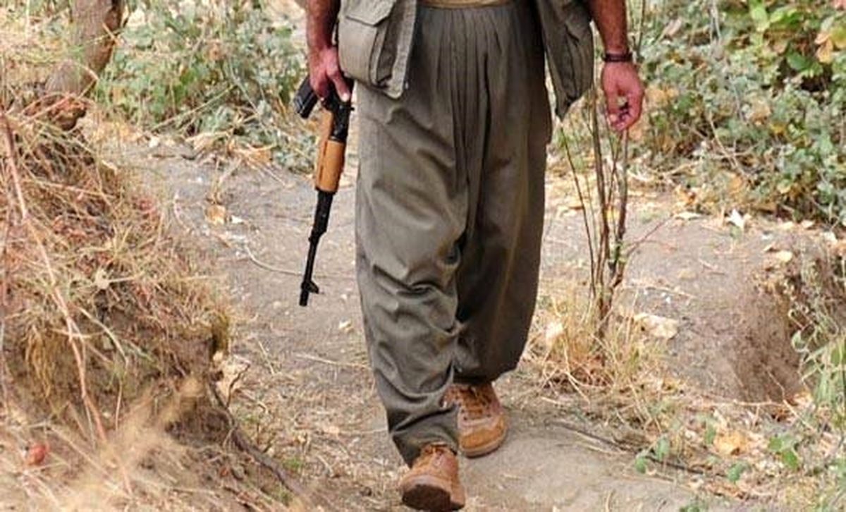Diyarbakır\'da Bir Terörist Yakalandı