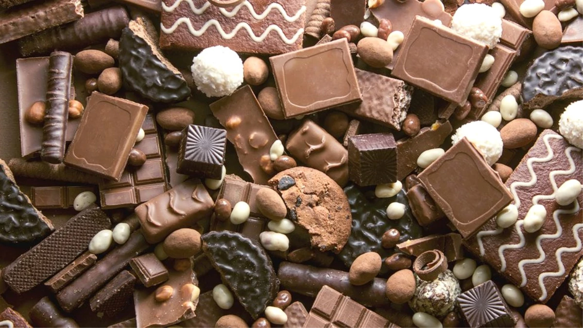 Dünyanın En Tatlı İşi: Çikolata Çeşniciliği