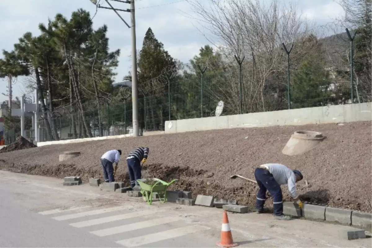 Hızır Reis\'te Kaldırım ve Peyzaj Çalışması