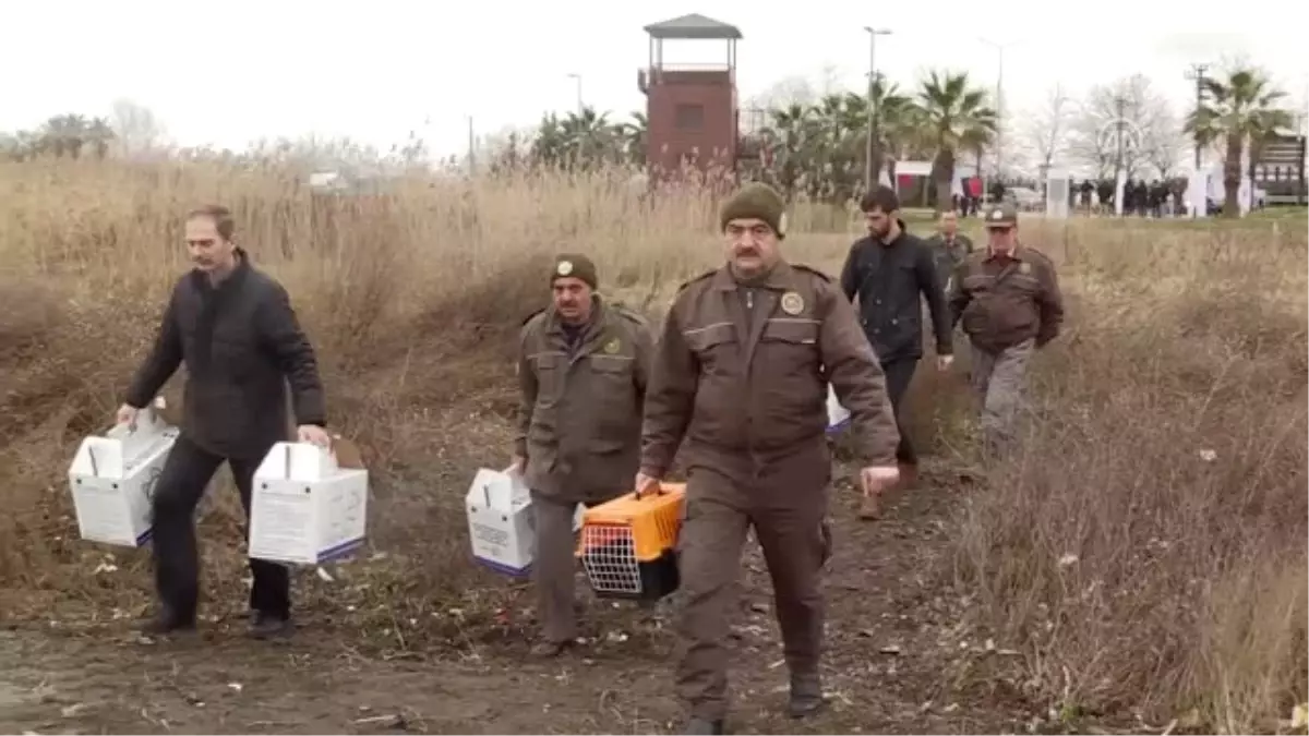 Izmit Körfezi\'ndeki Akaryakıt Sızıntısı