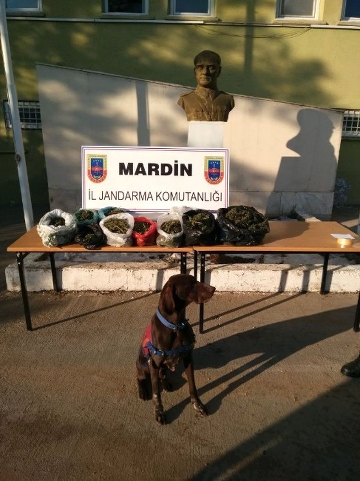 Mardin\'deki Uyuşturucu Operasyonunda Bir Kişi Tutuklandı