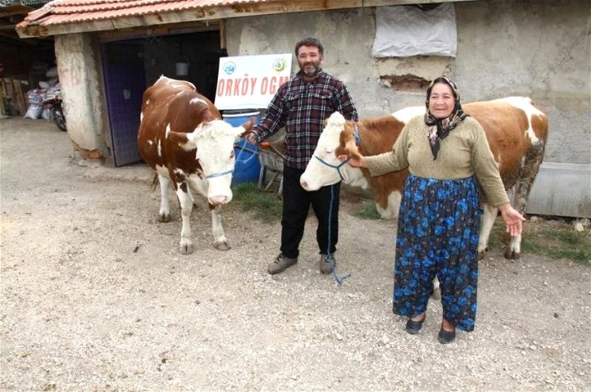 Tokat\'ta Orman Köylülerine 14 Yılda 33 Milyon TL\'lik Destek