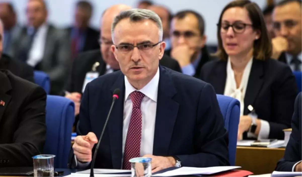 Varlık Fonu\'na Devredilen Şirketlere Ayrıcalık Yok\'