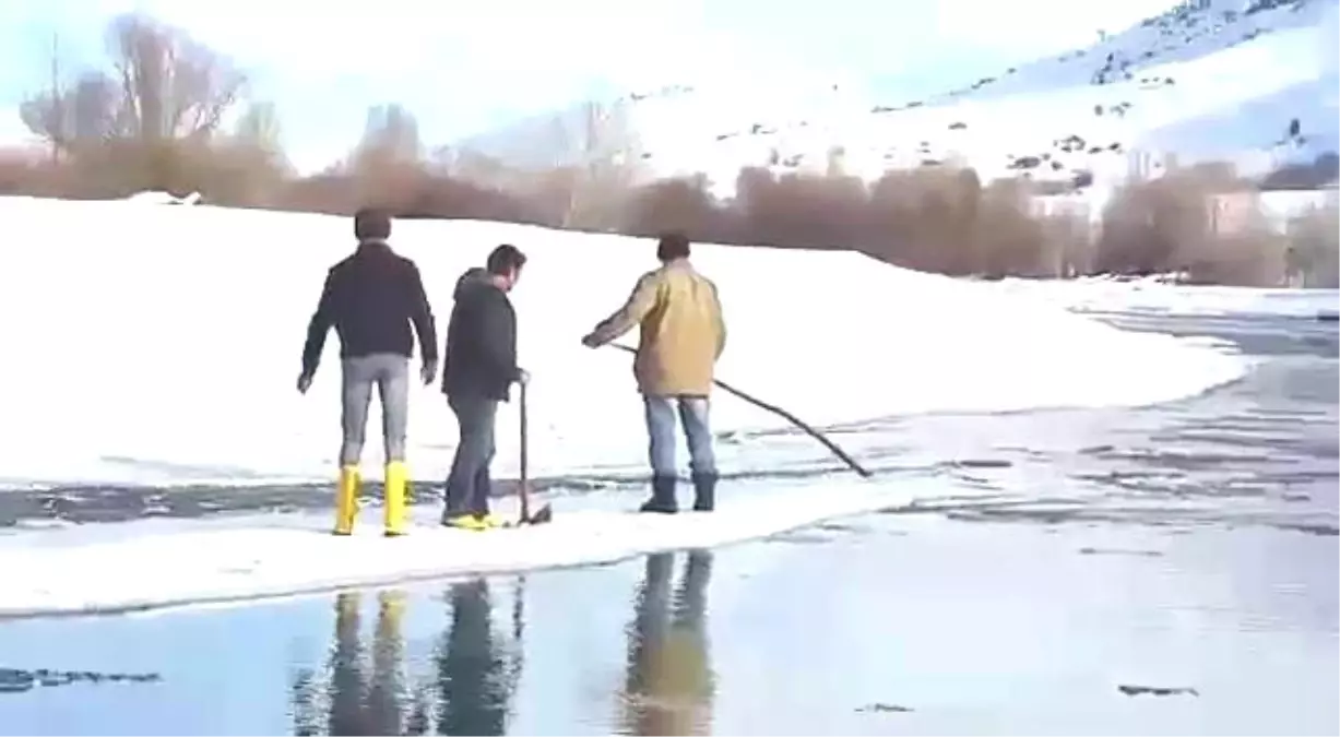 Buz Kütlesi Üzerinde Tehlikeli Yolculuk