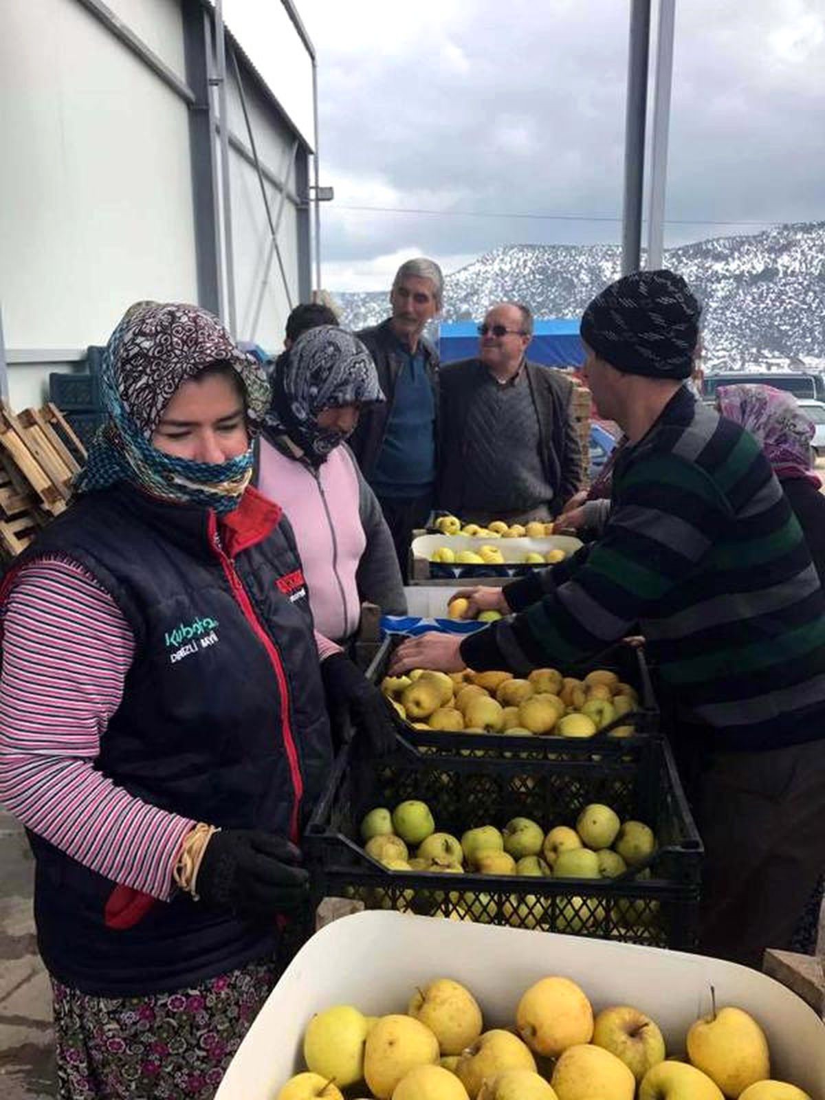 Çameli Elmasının Yeni Pazarı Irak