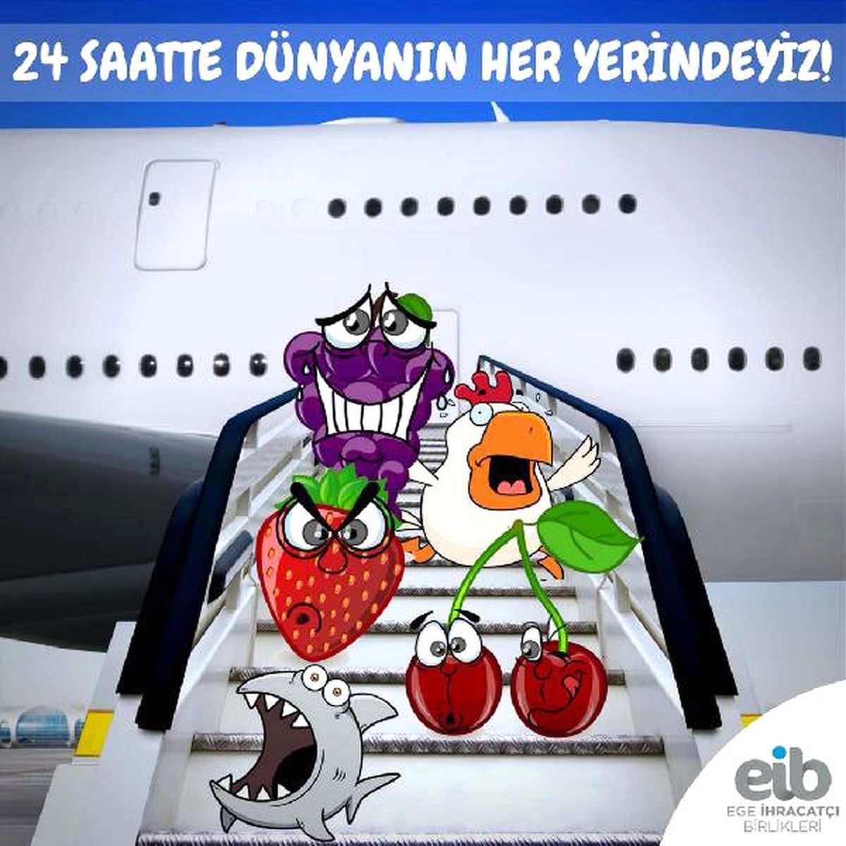 Dünya Türk Kirazı Yiyecek