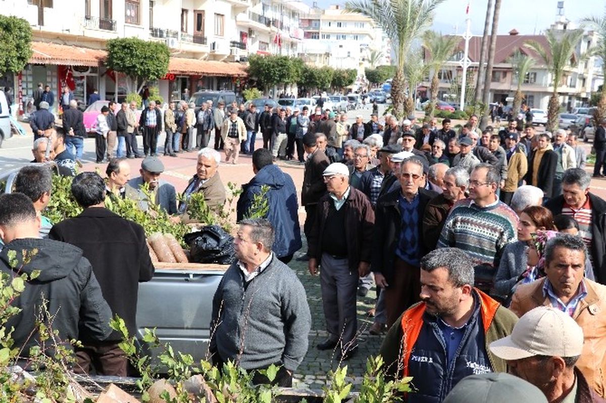 Gazipaşa\'da 6 Bin 900 Fidan Dağıtıldı