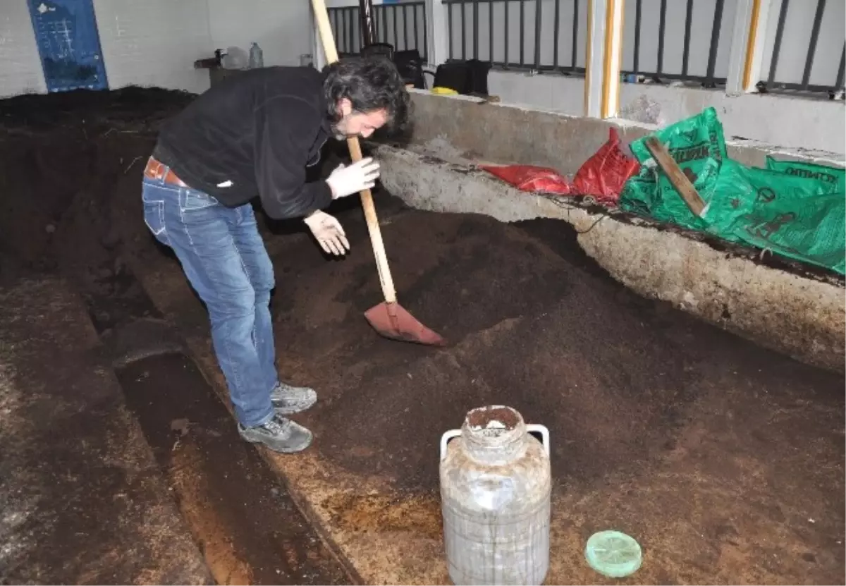 İnternetten Gördüğü Haberden Etkilenerek, Solucan Gübresi Üretim Tesisi Kurdu