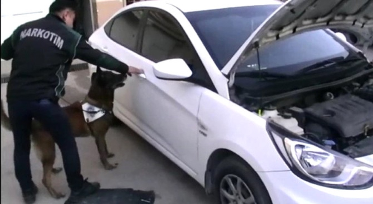 Narkotik Köpeği Alfa Uyuşturucuyu İşte Böyle Buldu
