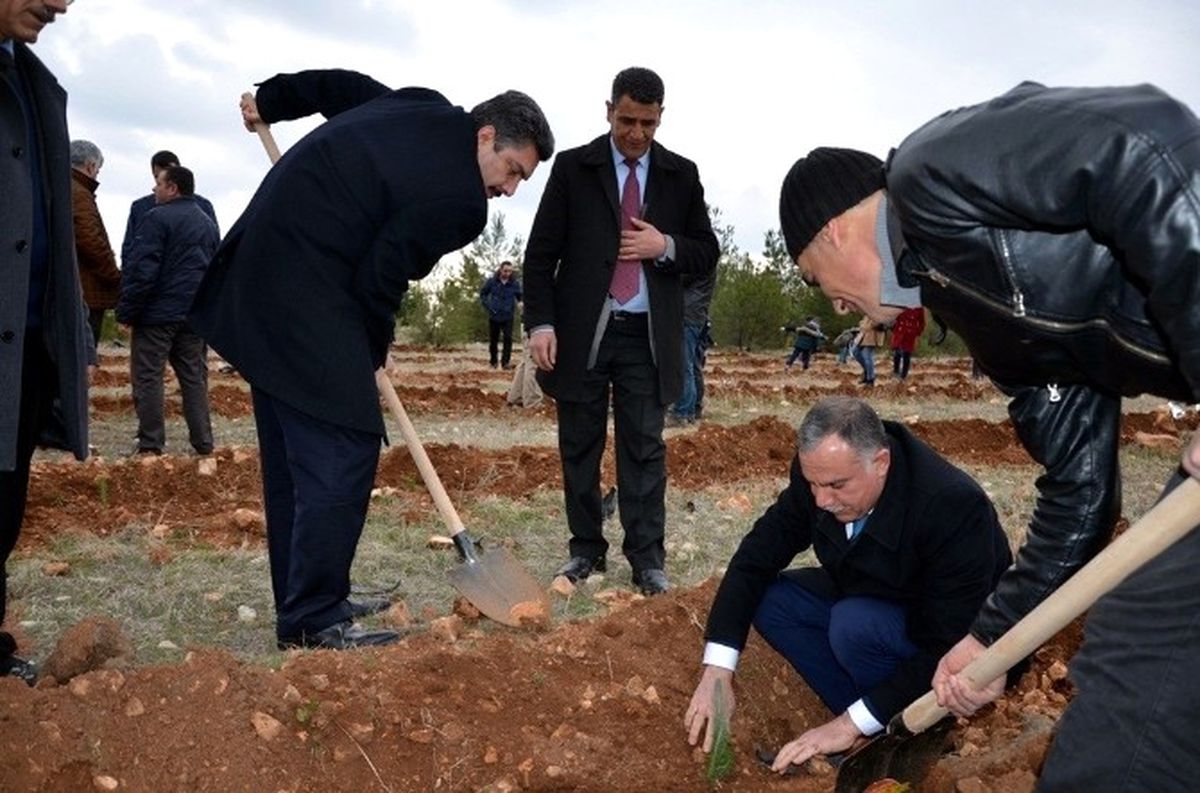 Osmanbey Yerleşkesinde Bin Fidan Toprakla Buluştu