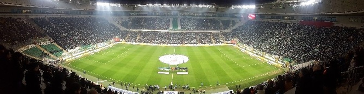 Bursaspor - Fenerbahçe Maçından Notlar