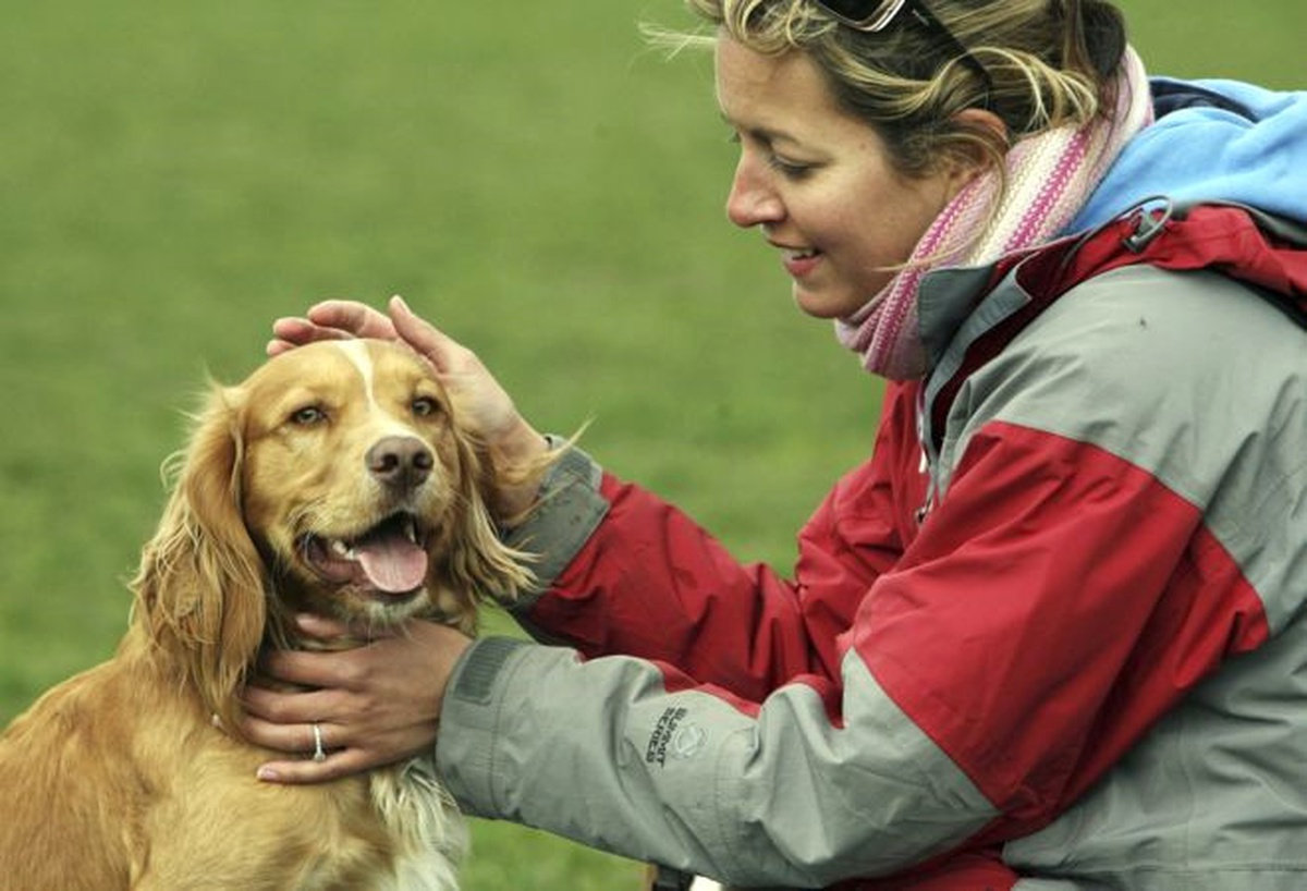 Köpekler Sahiplerinin Kişiliğine Bürünüyor