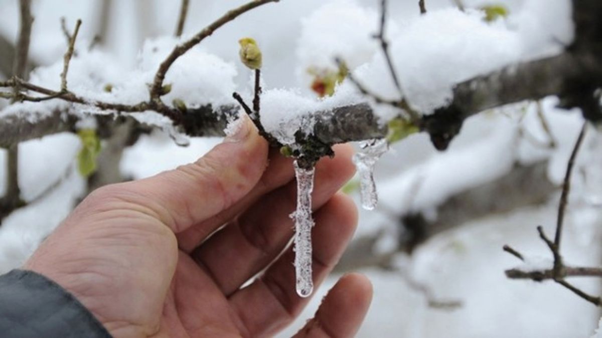 Meteorolojik Uyarı