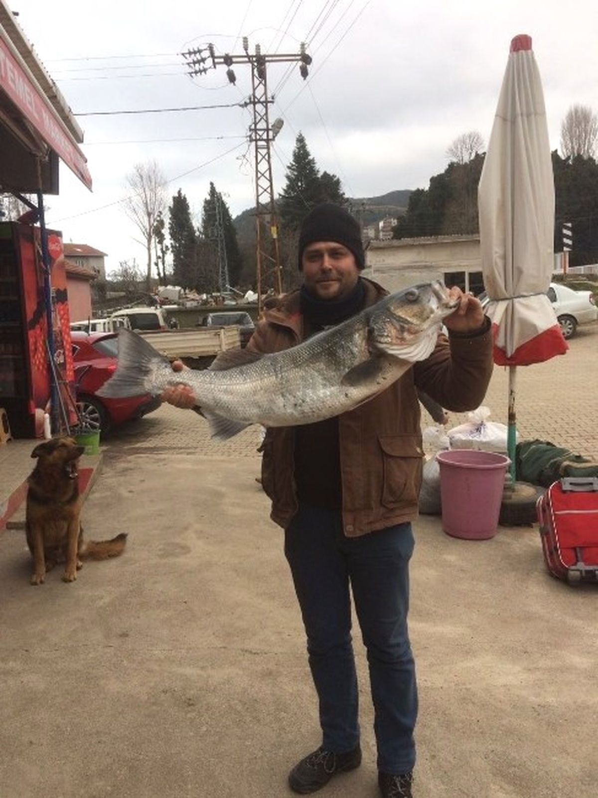 11 Kiloluk Levrek Görenleri Şaşırttı