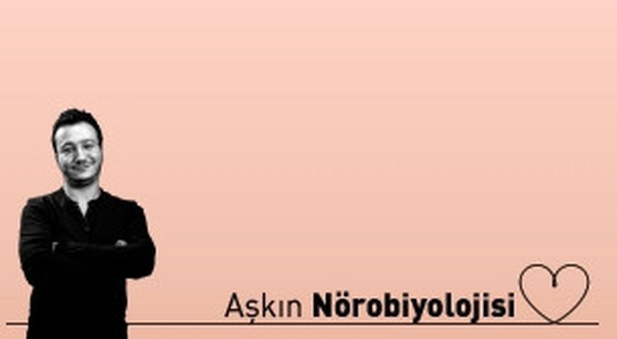 Aşkın Nörobiyolojisi