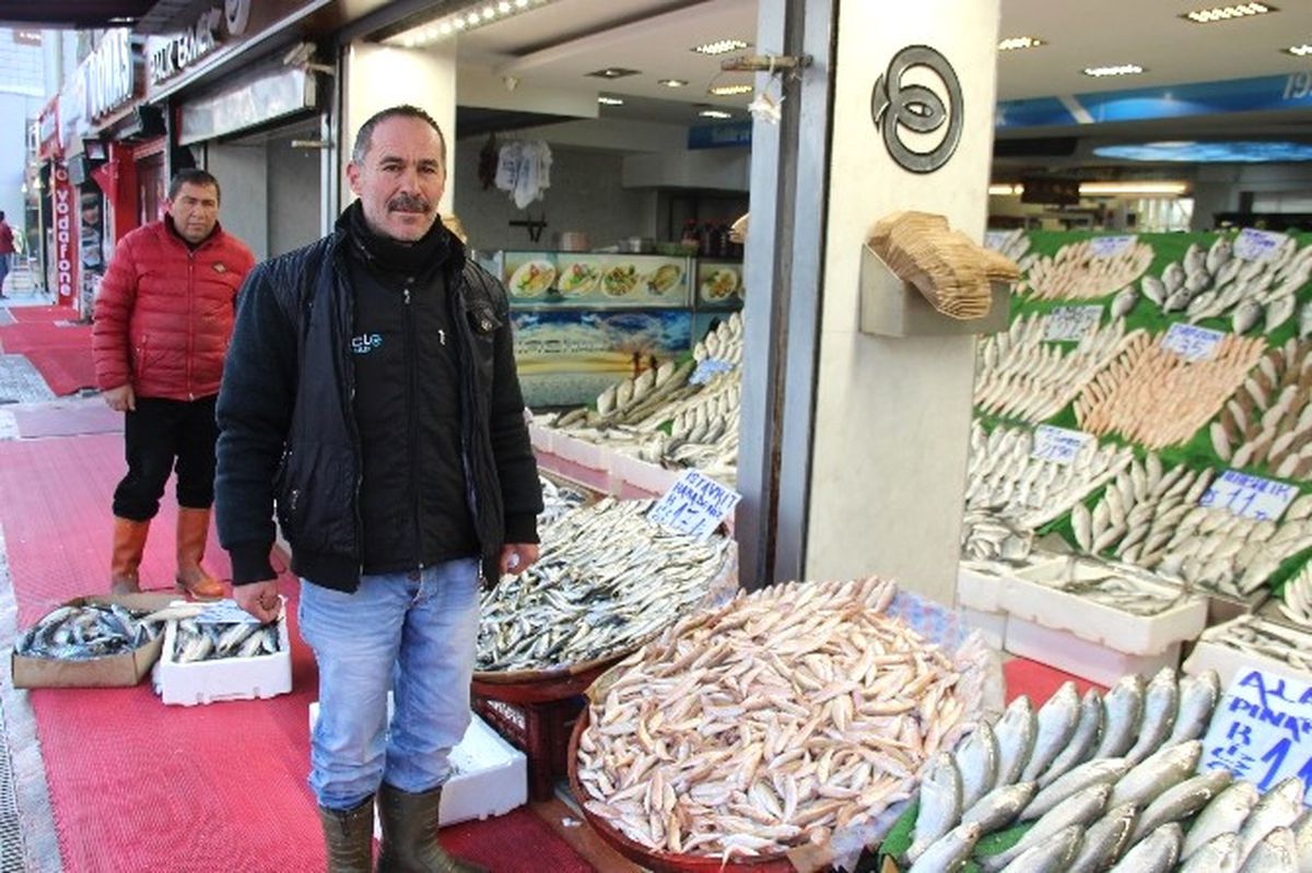Balıkçılarda \'Hamsi\' Kıtlığı