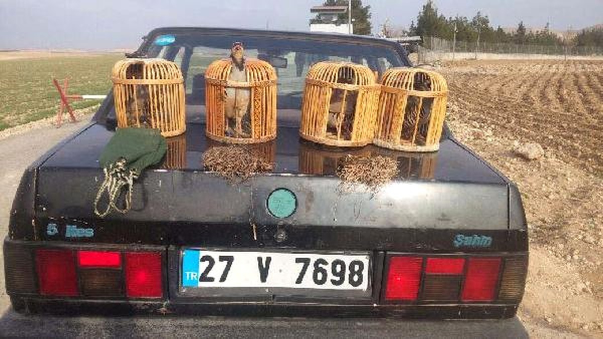 Birecik\'te Tuzakla Keklik Avlayan 3 Kişiye Para Cezası