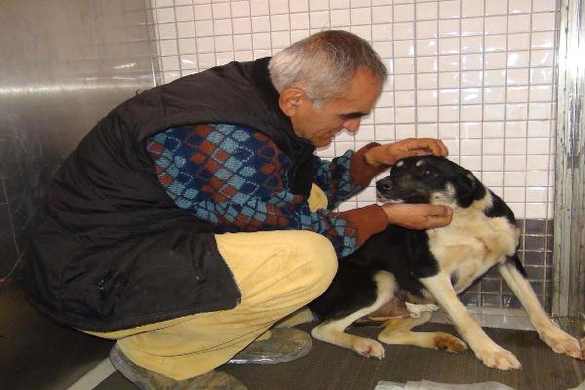 Dha Ankara - Hayvansever Nevzat Eski, Emekli Maaşıyla 60 Köpek ve 6 Kediye Bakıyor