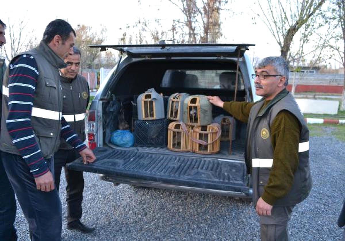 Şanlıurfa\'da Keklik Avlayanlara Para Cezası