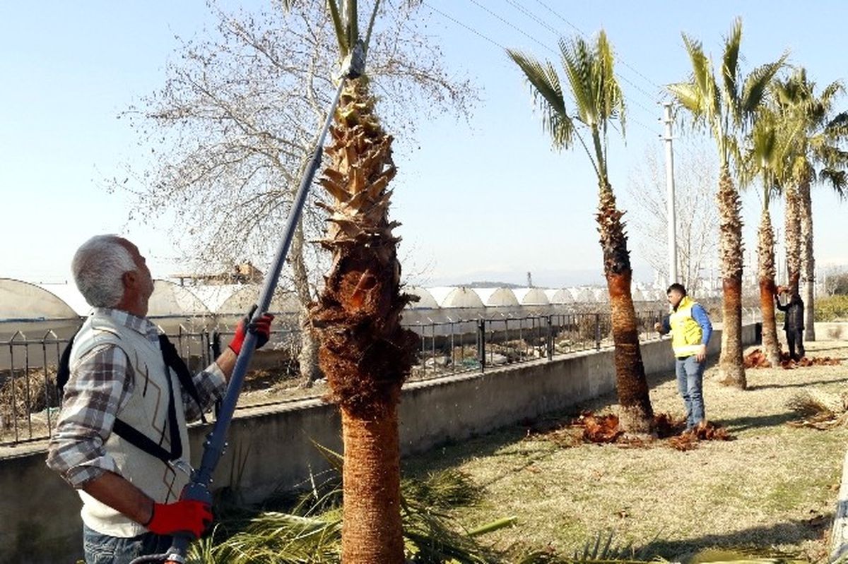 Akdeniz\'deki Park ve Bahçelere Bahar Bakımı