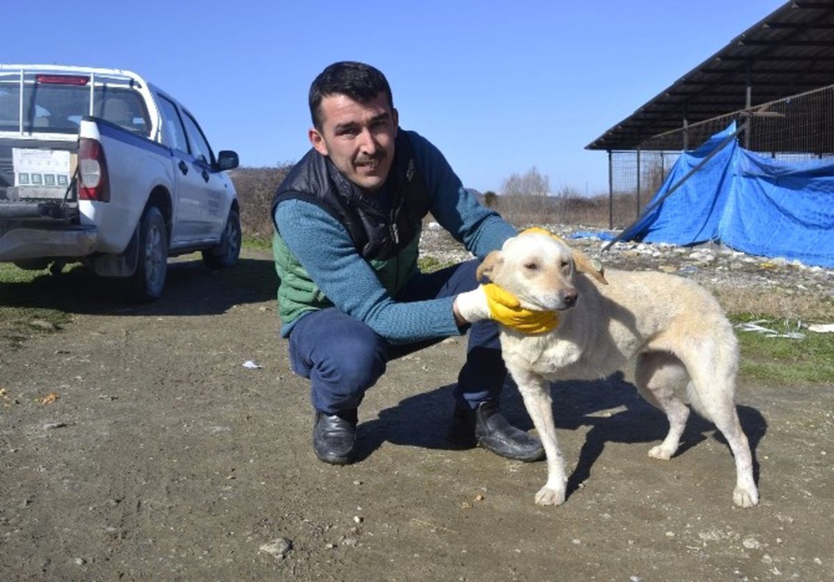 Belediye İşçisi Üç Ayaklı Köpeğine Gözü Gibi Bakıyor
