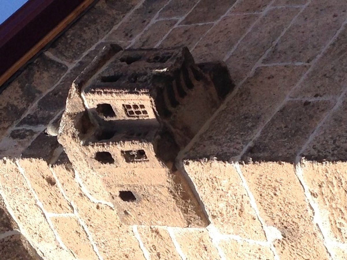 Cami Duvarında Bulunan Kuş Evi Büyük İlgi Görüyor