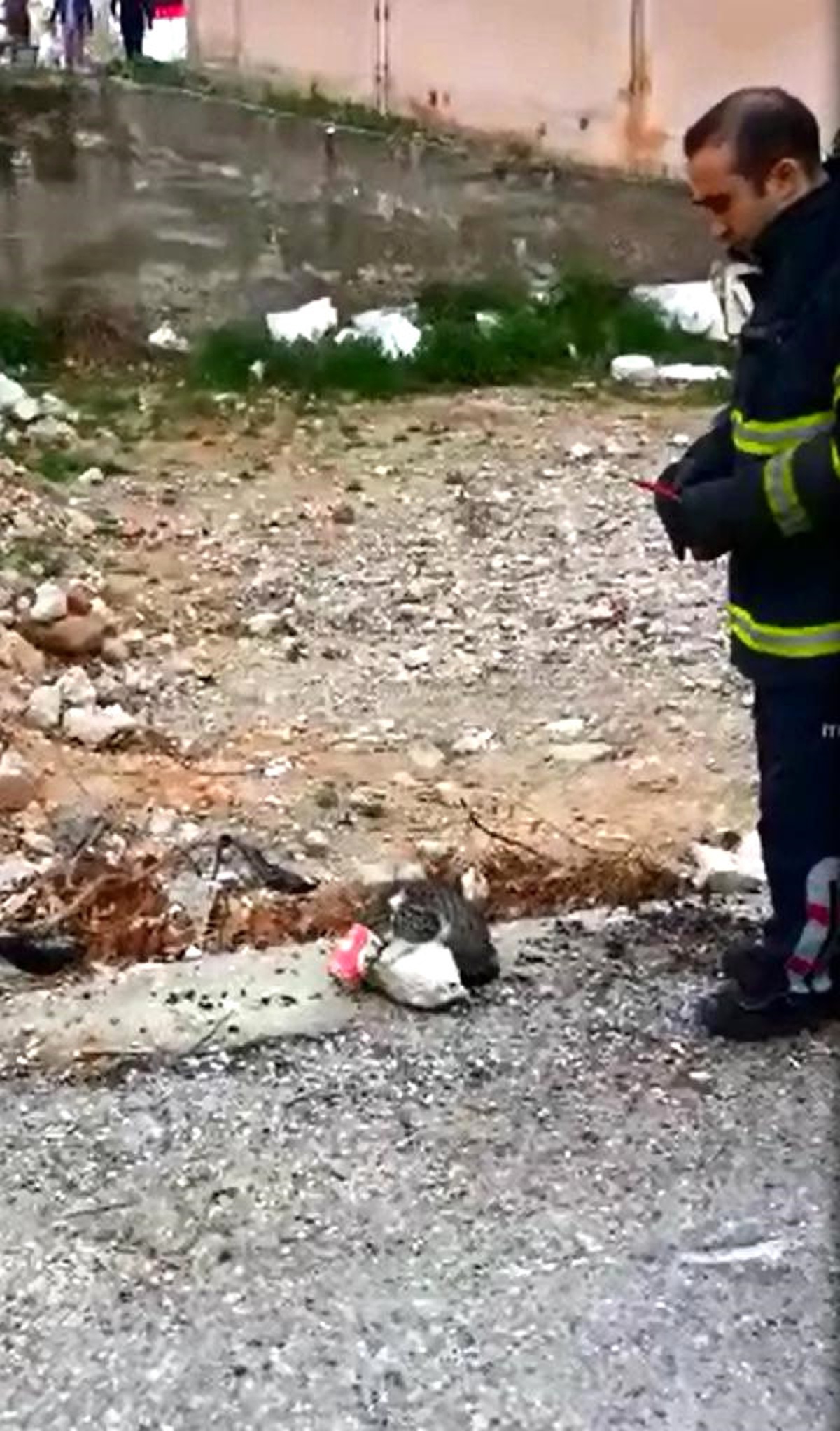 Kafası Salça Kutusuna Sıkışan Kediyi İtfaiye Kurtardı