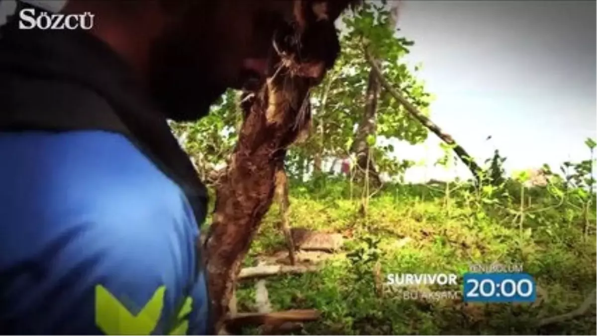 Survivor 17. Bölüm Fragmanı