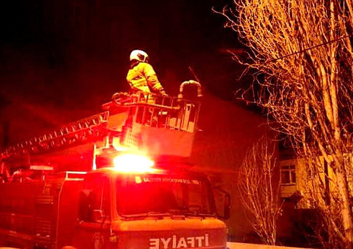 Burhaniye\'de Kavak Ağacına Çıkan Kediyi, İtfaiye Ekipleri Aşağıya İndirdi