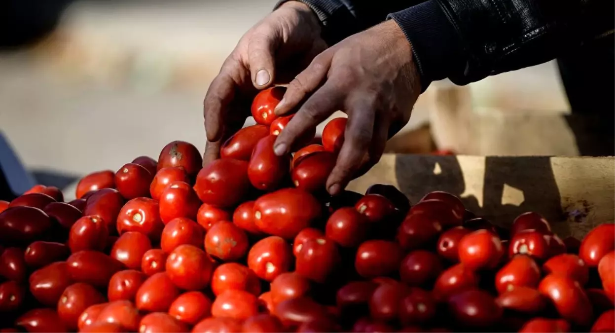 Tarım Ürünleri İthalatı Tarife Kontenjanında Değişiklik