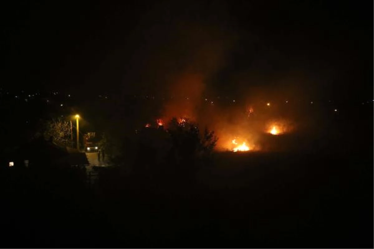 Antalya\'da Çalılık Yangını Korkuttu