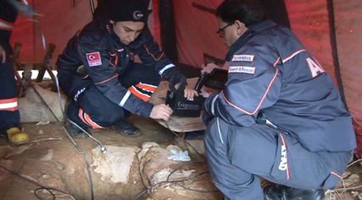 Beykoz\'da Kuyuya Düşen Yavru Köpek Kurtarıldı 2