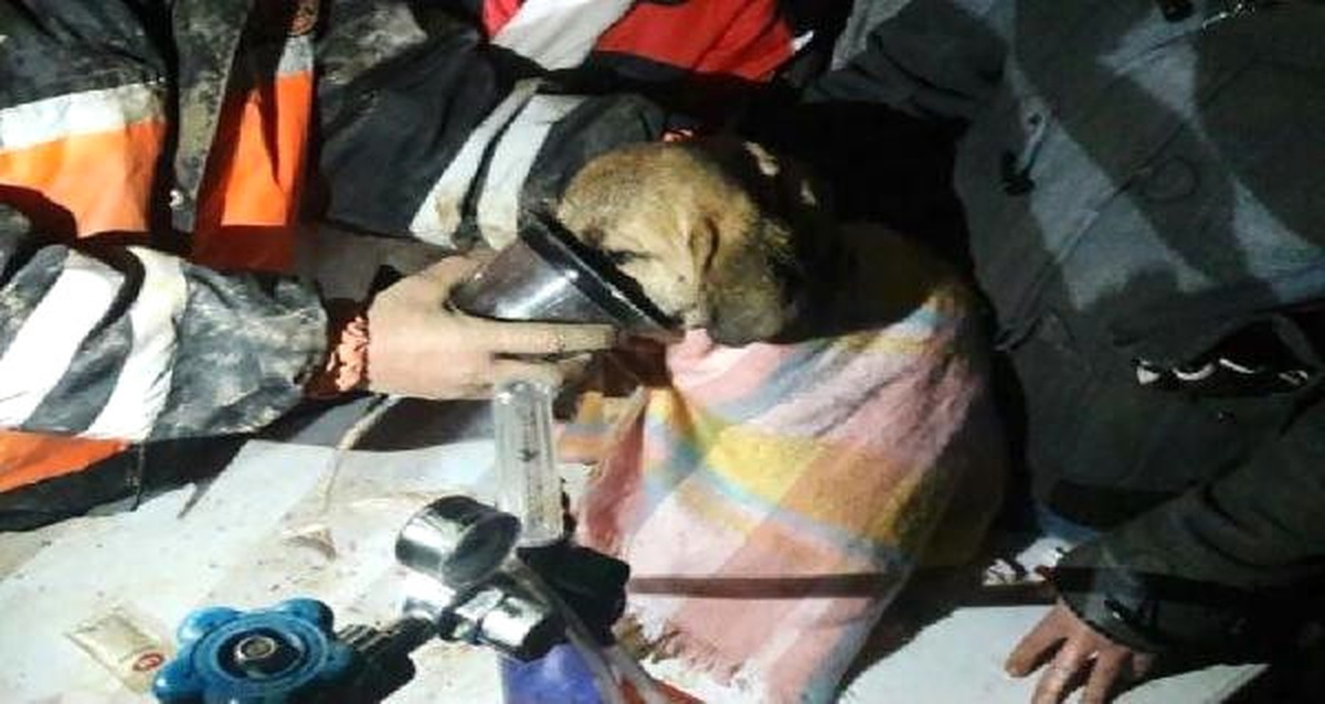 Kuyu"Yu Kurtaranlar Anlattı; Sağlık Kontrolüne Götürüldü