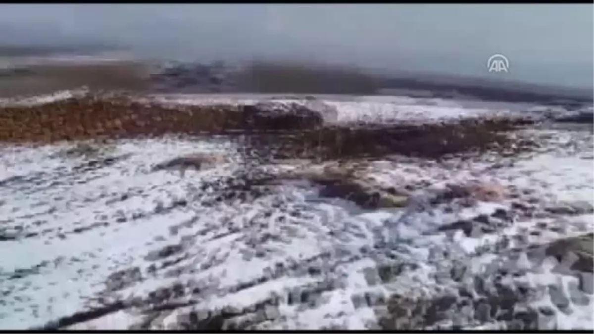 Terör Örgütü PKK\'ya Ait Yeraltı Sığınağı Bulundu