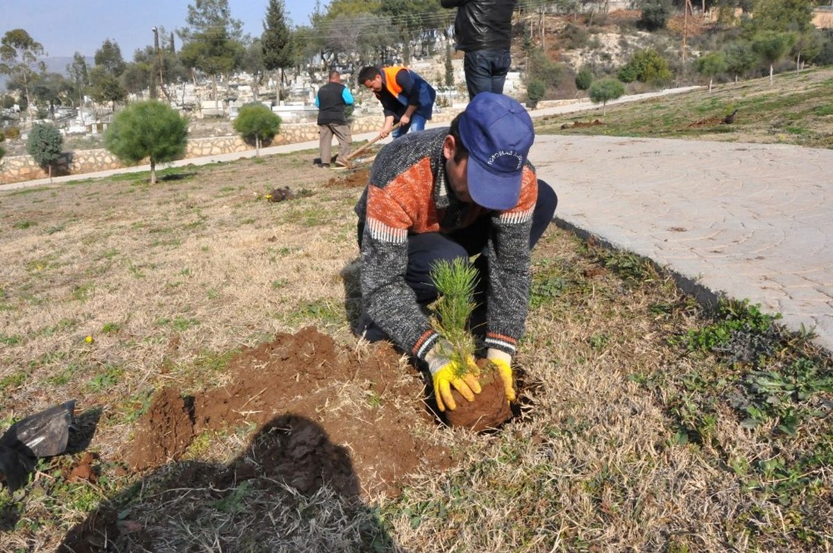 Toroslar\'da 10 Bin Çam Fidesi Toprakla Buluşuyor