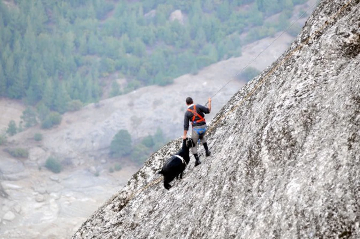 Kayalıklarda 10 Gün Mahsur Kalan Keçiyi İtfaiye Kurtardı