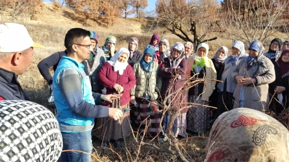 Pazarlar Halk Eğitim Merkezi 2016 Yılında 30 Branşta 65 Kurs Açtı