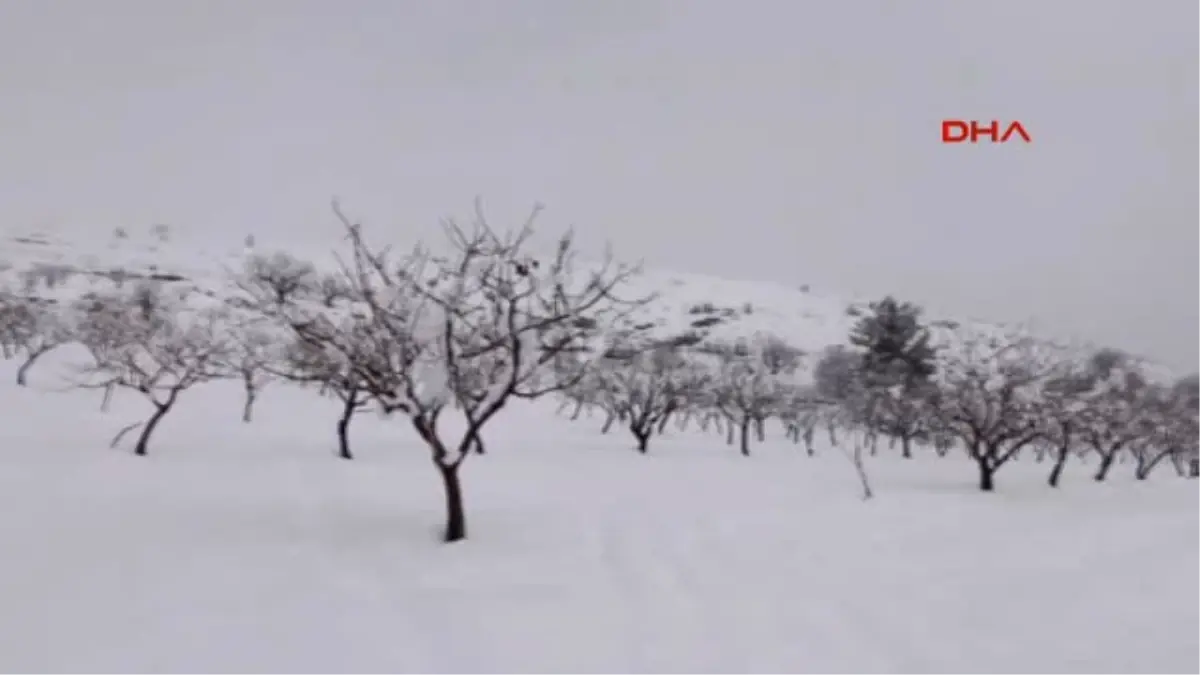 Siirt\'te Kar, Fıstık Üreticilerinin Yüzlerini Güldürdü