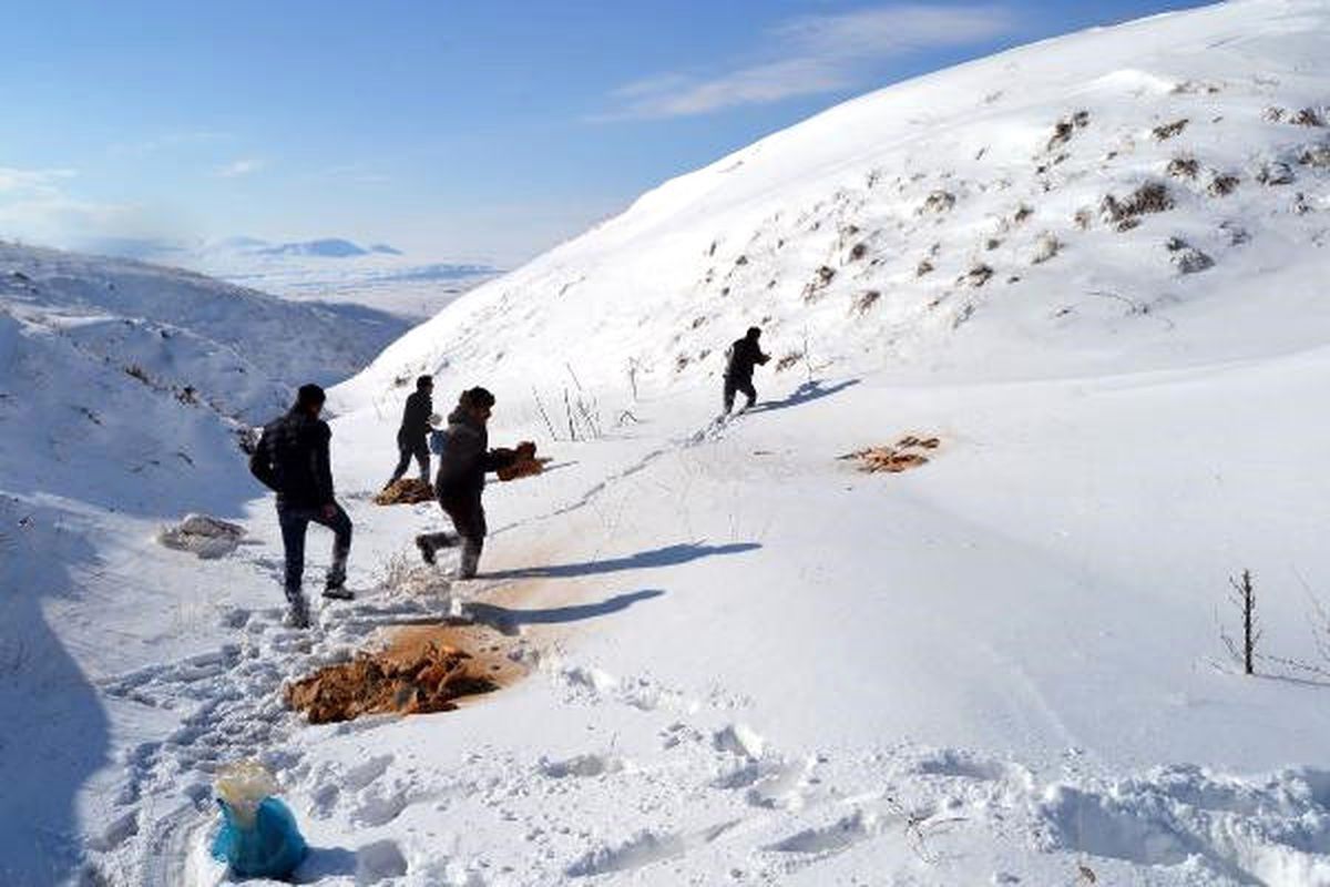 Ahlat\'ta Ülkücüler Doğaya Yem Bıraktı