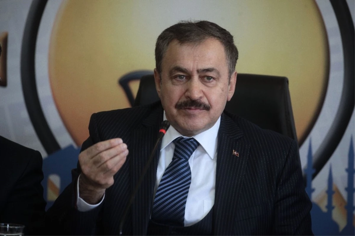 Bakan Eroğlu: "Kılıçdaroğlu, 18 Maddeyi Okursa \'Evet\' Diyecektir"