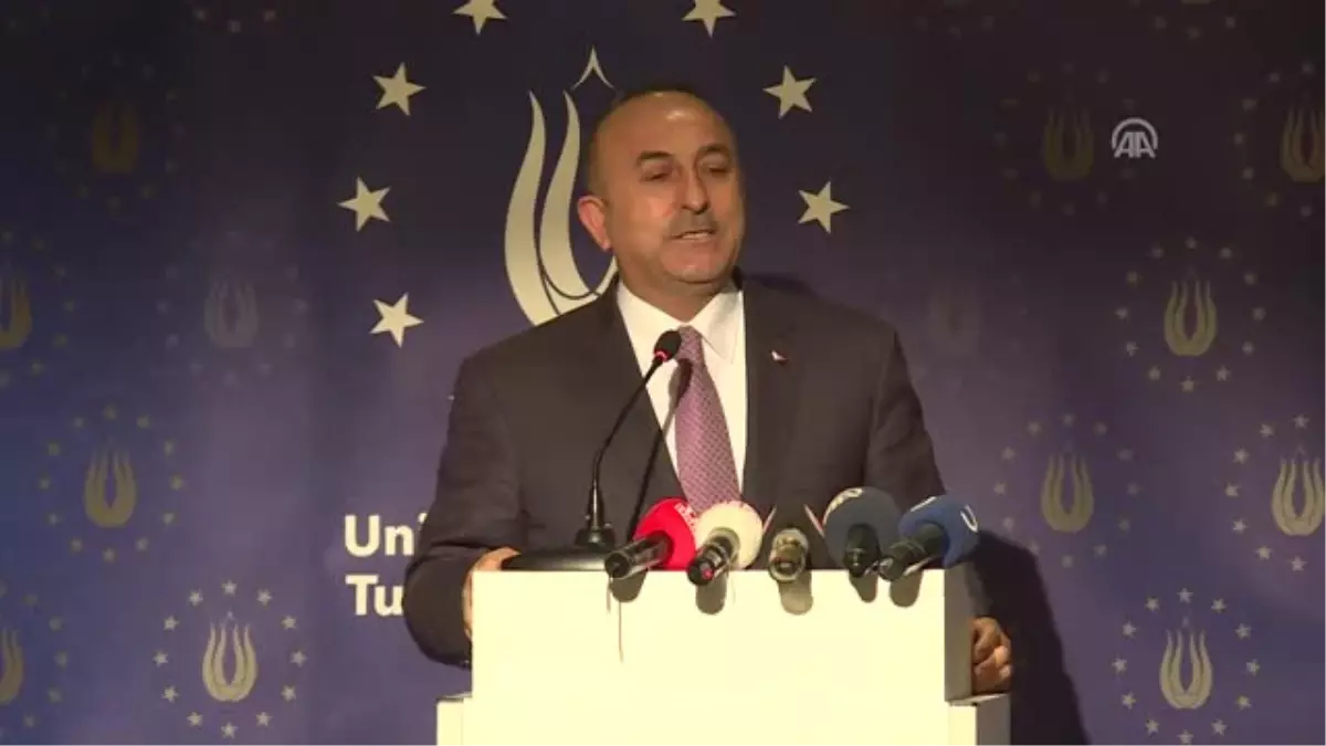 Dışişleri Bakanı Çavuşoğlu Almanya\'da (2)