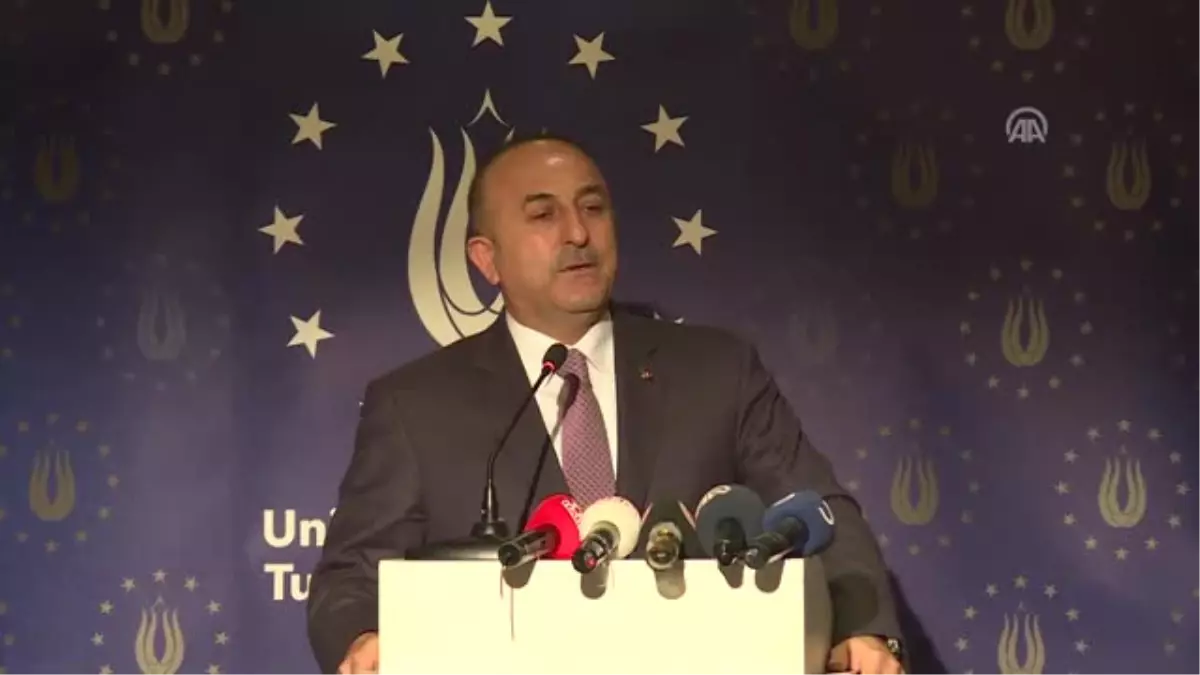 Dışişleri Bakanı Çavuşoğlu Almanya\'da (5)