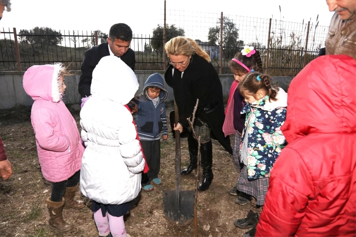 Öğretmen Ayşe Aktaş Anısına Ağaç Dikildi