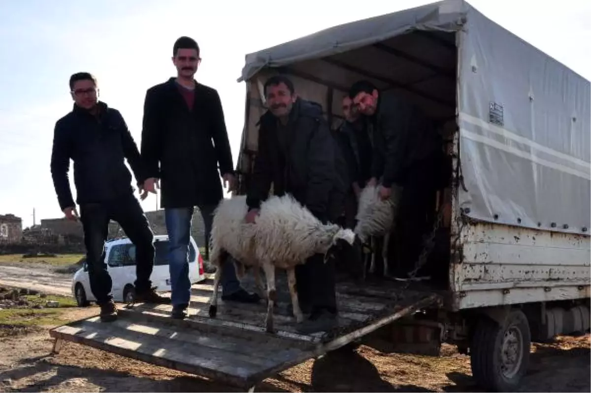 Çanakkale Deprem Bölgesindeki Besicileri Sevindiren Destek